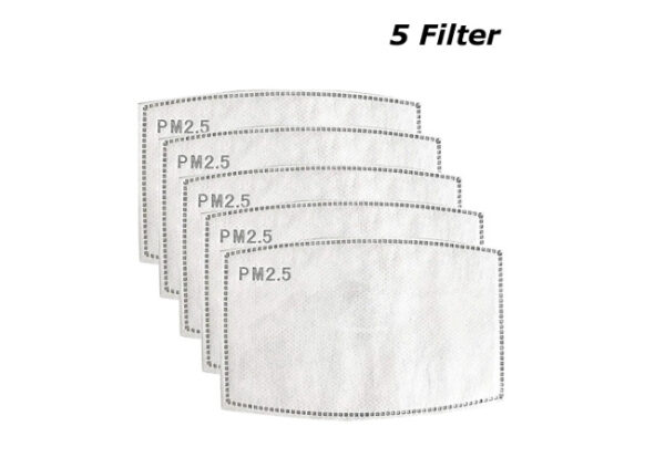 PM 2.5 Filtereinlage